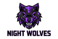 Night Wolves esports logo — sample design